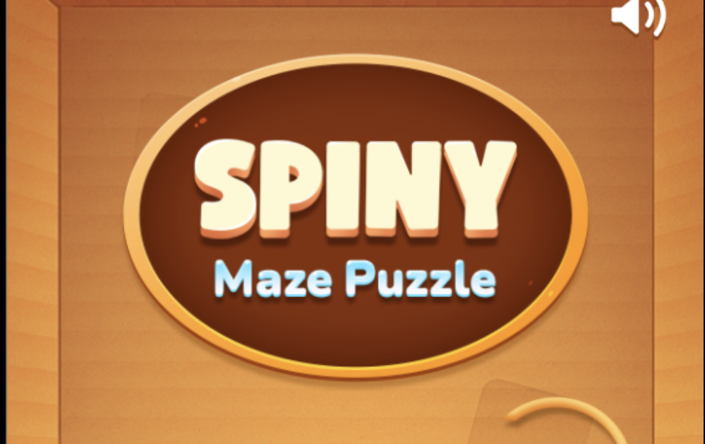 Spinymazepuzzle